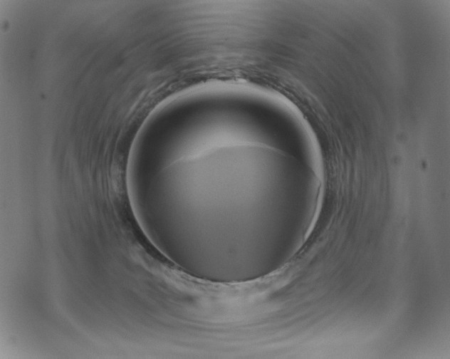 X0000072490035200607141116