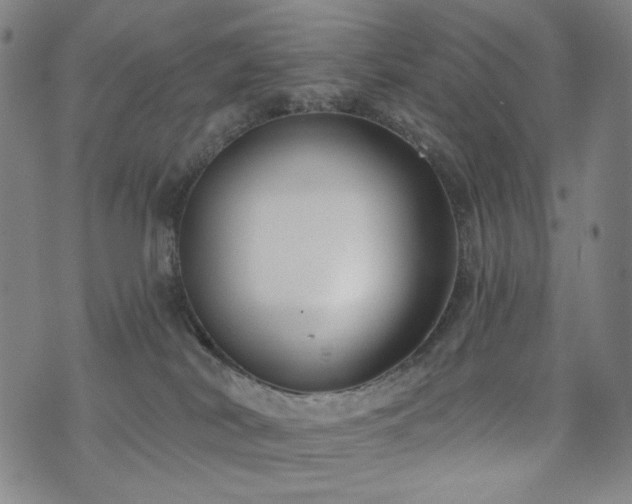 X0000072490038200607141115