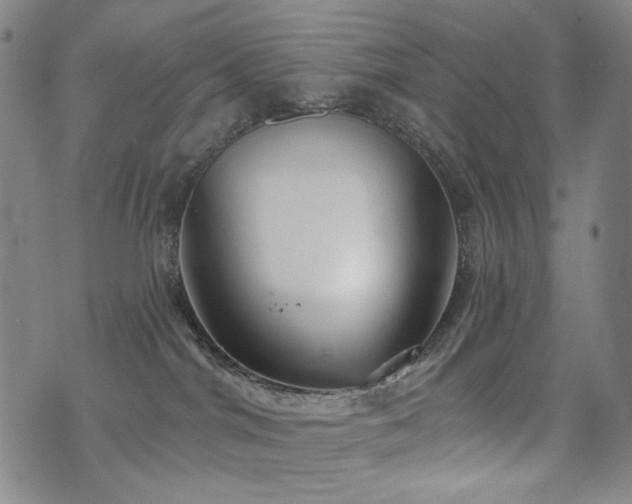 X0000072490044200607141115