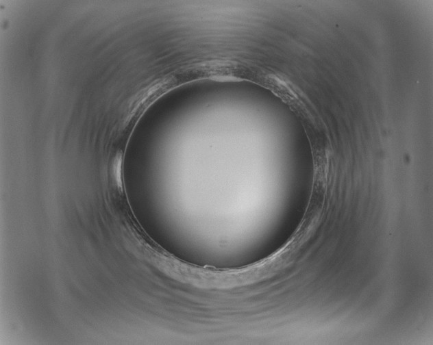 X0000072490047200607141115