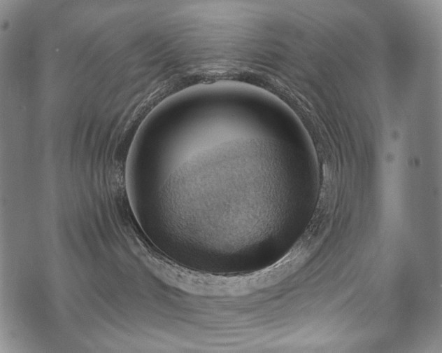 X0000072490048200607141115