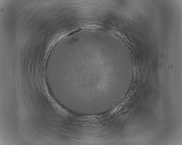 X0000072490049200607141115