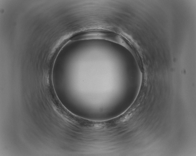 X0000072490060200607141115