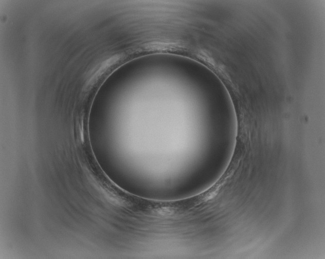 X0000072490062200607141115