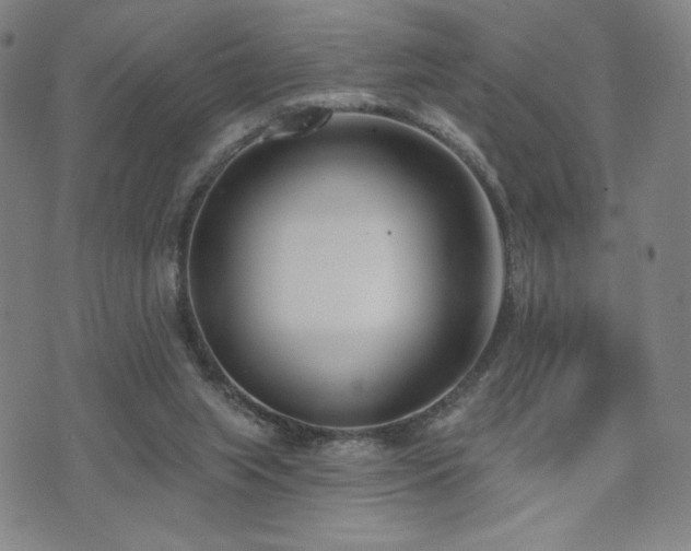 X0000072490063200607141115