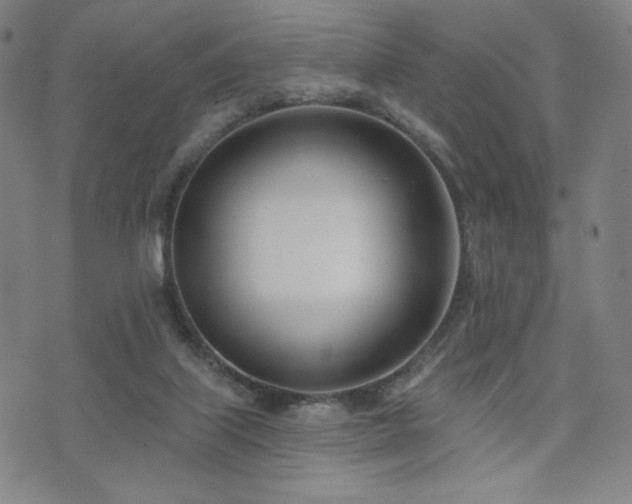 X0000072490067200607141115