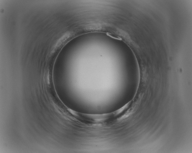 X0000072490068200607141115
