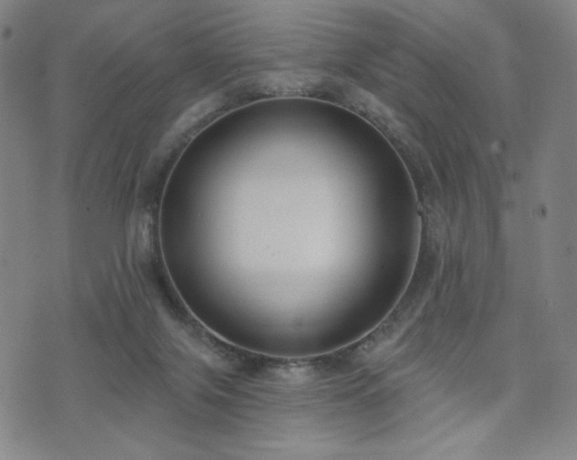 X0000072490071200607141115