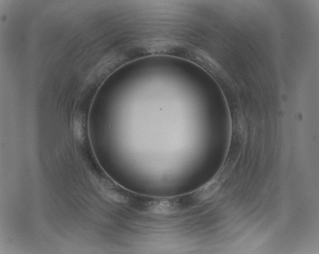 X0000072490074200607141115