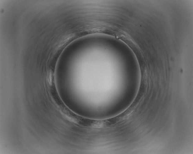 X0000072490076200607141115