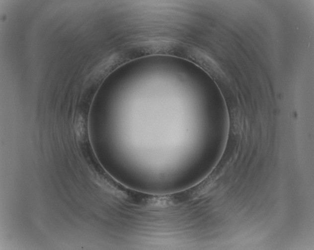 X0000072490077200607141115