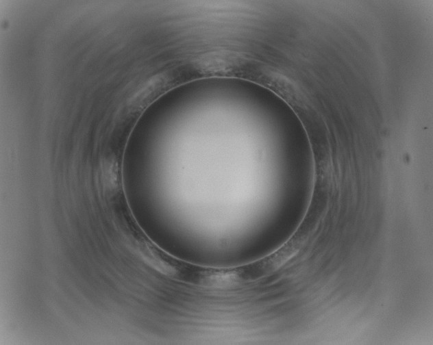 X0000072490081200607141115