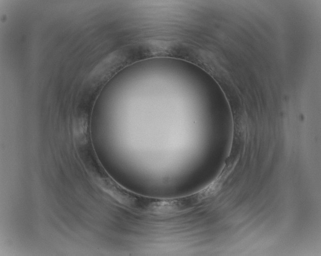 X0000072490082200607141115