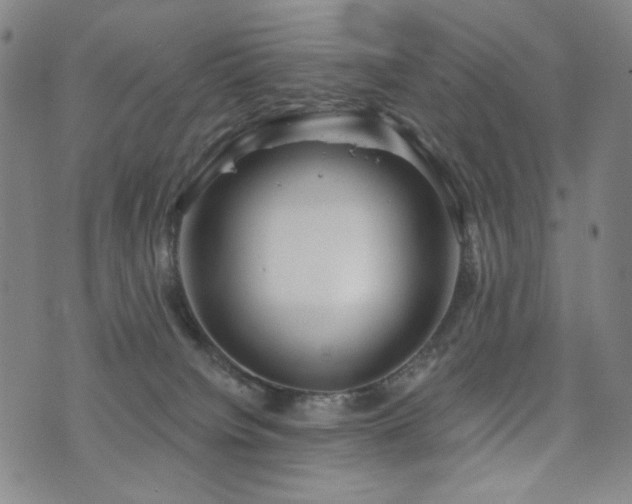 X0000072490084200607141115
