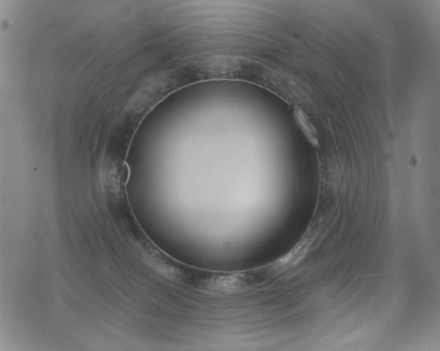 X0000072490086200607141115