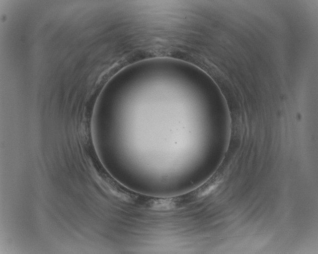 X0000072490088200607141115