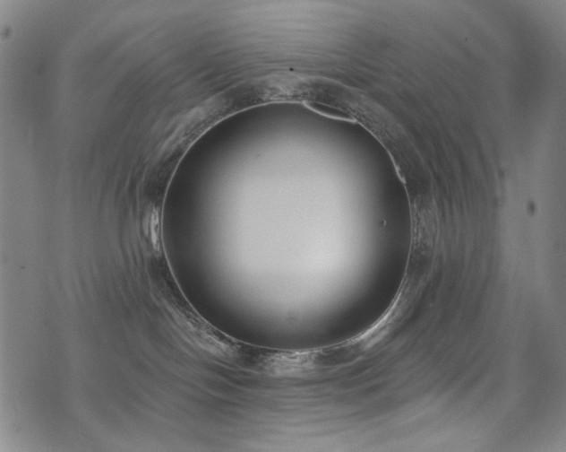 X0000072490094200607141115