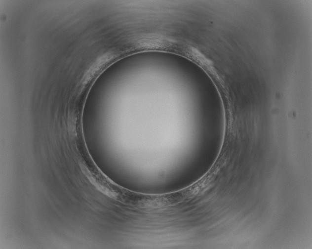 X0000072490106200607141114