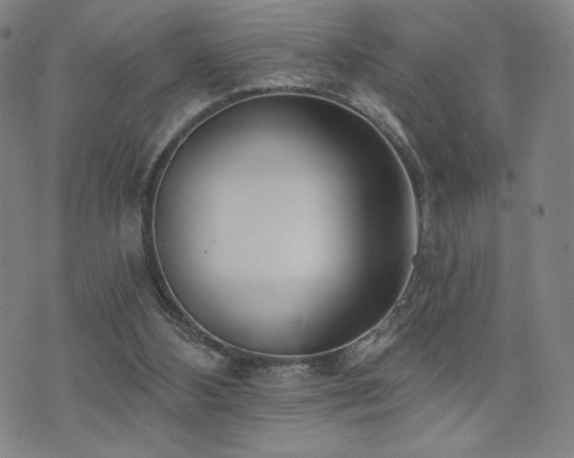 X0000072490108200607141114