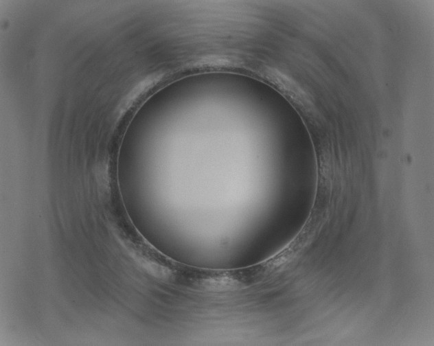 X0000072490112200607141114