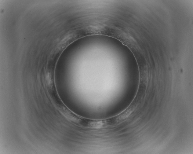 X0000072490131200607141114