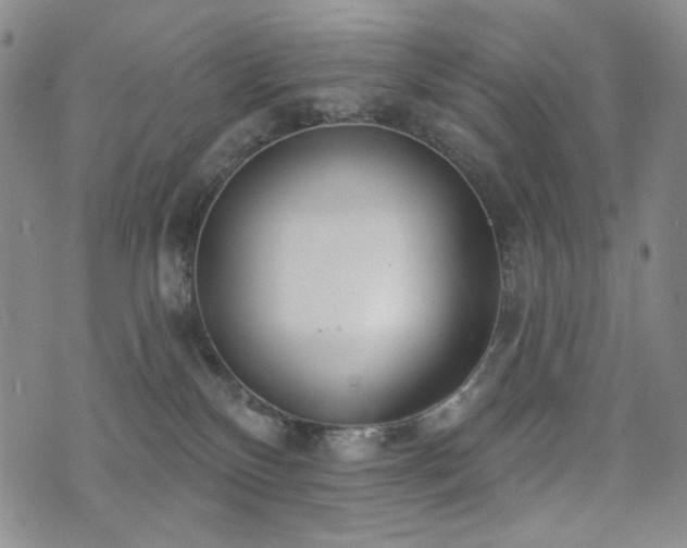 X0000072490136200607141114