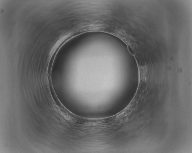 X0000072490147200607141113