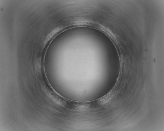 X0000072490155200607141113