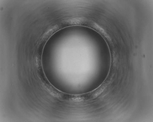 X0000072490161200607141113