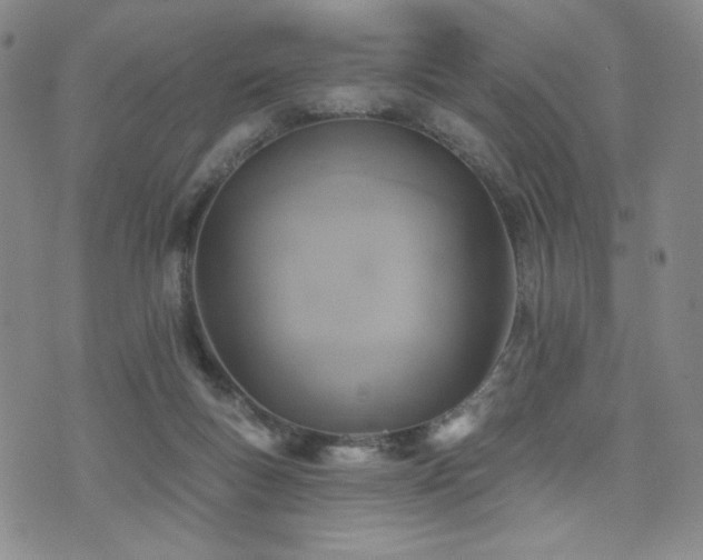 X0000072490167200607141113
