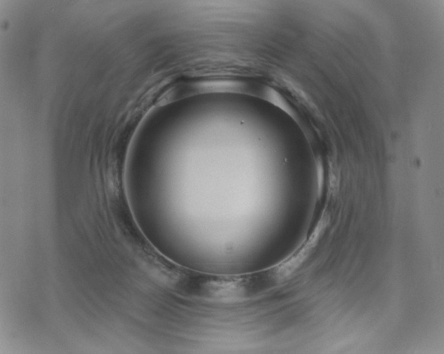X0000072490170200607141113