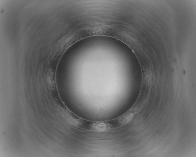 X0000072490181200607141114