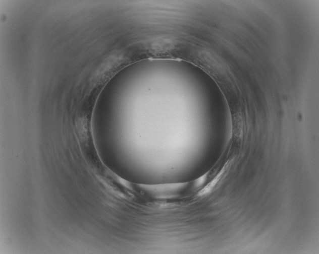 X0000072490184200607141114