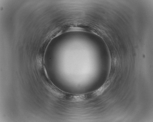 X0000072490188200607141114