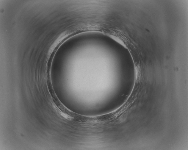 X0000072490195200607141113