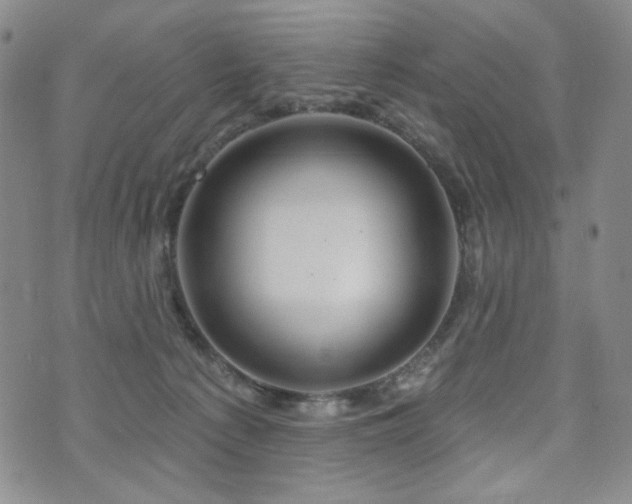 X0000072490225200607141112