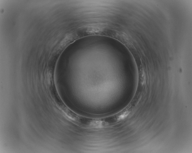 X0000072490227200607141112