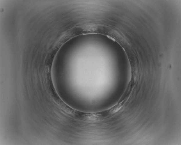 X0000072490229200607141112