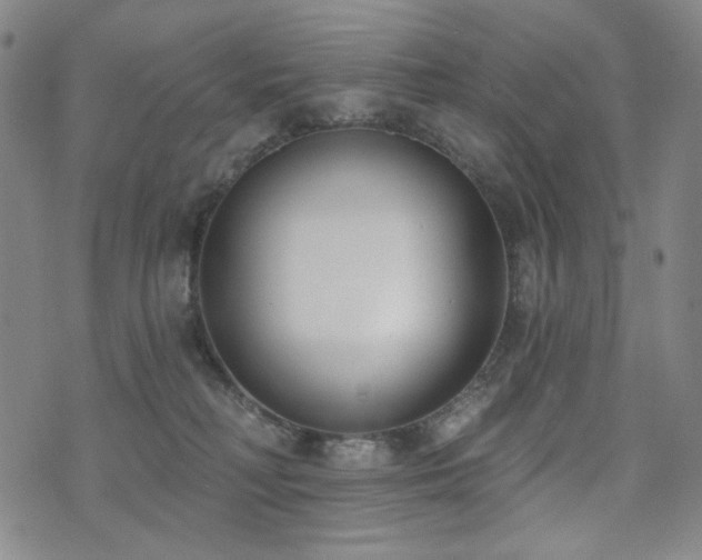 X0000072490230200607141112