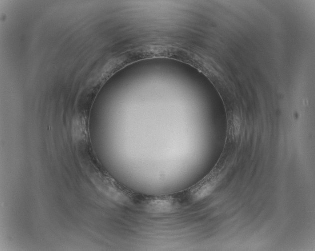 X0000072490236200607141112