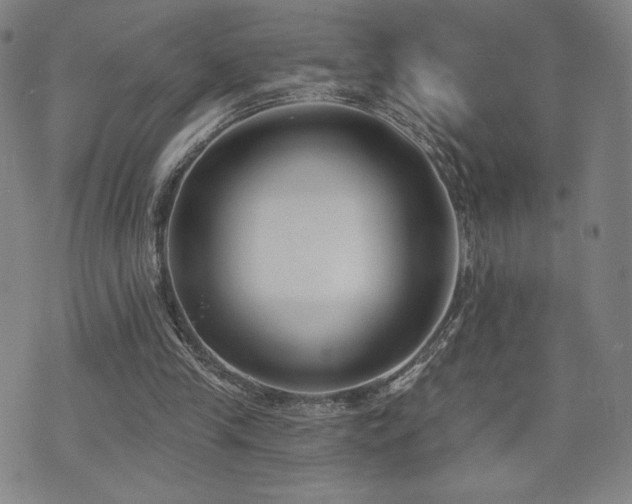X0000072490245200607141112