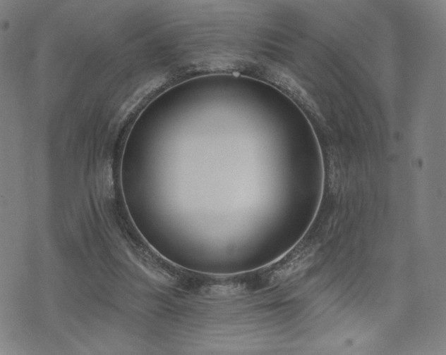 X0000072490251200607141112