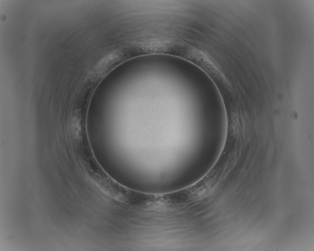 X0000072490259200607141112