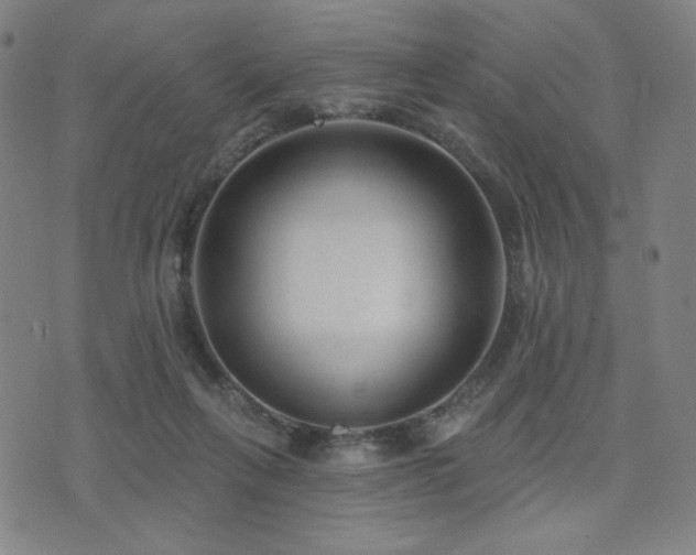 X0000072490263200607141112