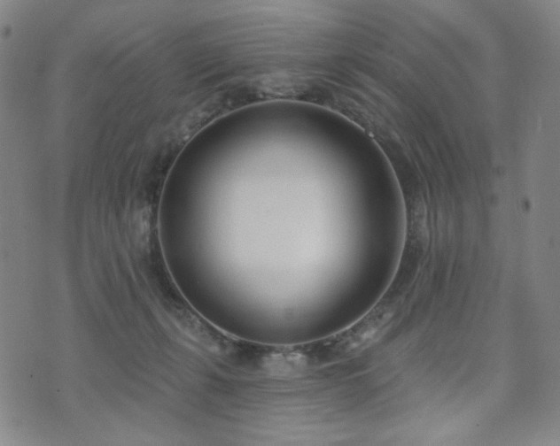 X0000072490271200607141112