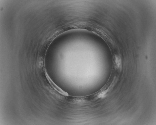 X0000072490284200607141112