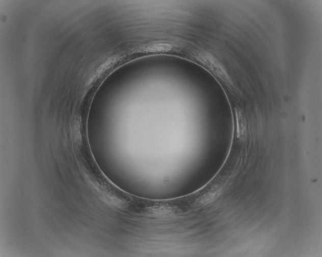 X0000072490300200607141111