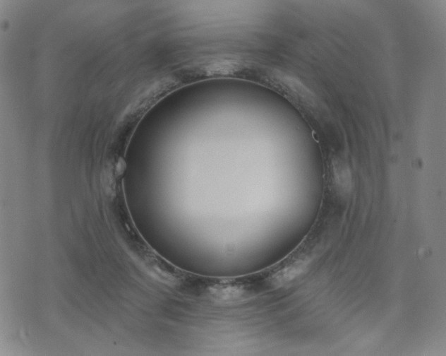 X0000072490311200607141111
