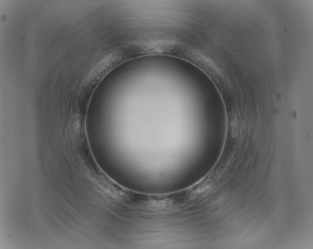 X0000072490314200607141111
