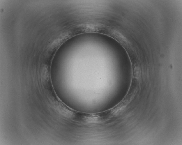 X0000072490318200607141111